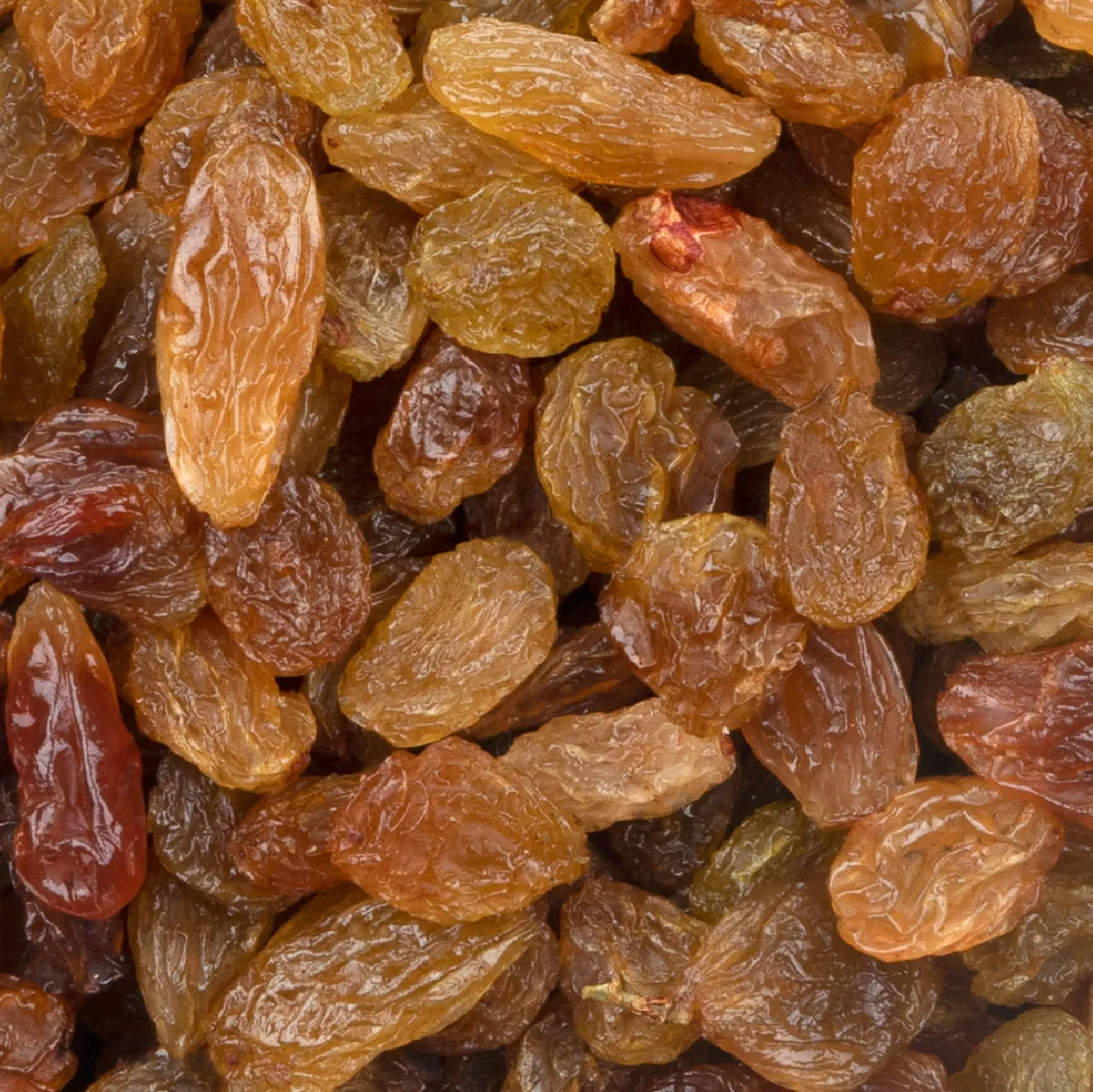 Nasik, Sangli, Maharashtra